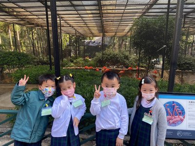 Visite des jardins zoologiques et botaniques de Hong Kong