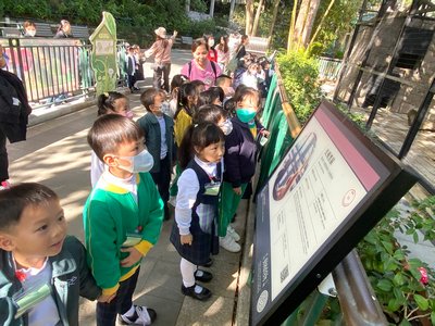 Visita ai giardini zoologici e botanici di Hong Kong